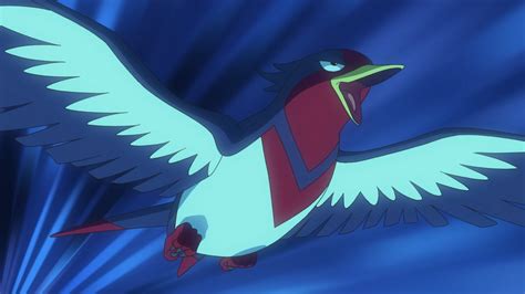 Swellow .